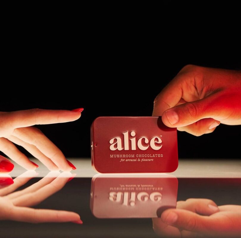 Alice mushroom chocolate